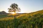 Sunrise in the Jones Creek area in Theodore Roosevelt National Park, North Dakota, USA. Art Print